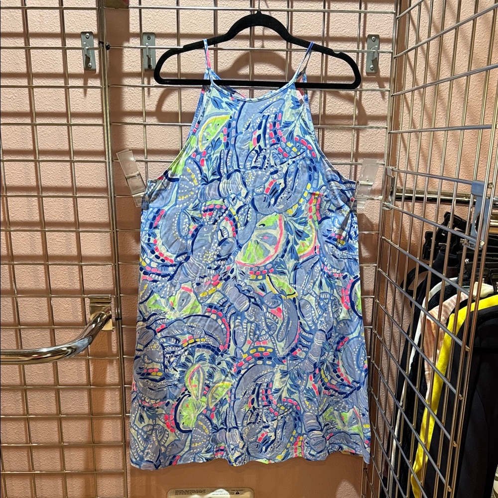 Lilly Pulitzer Blue and Pink Paisley Dress